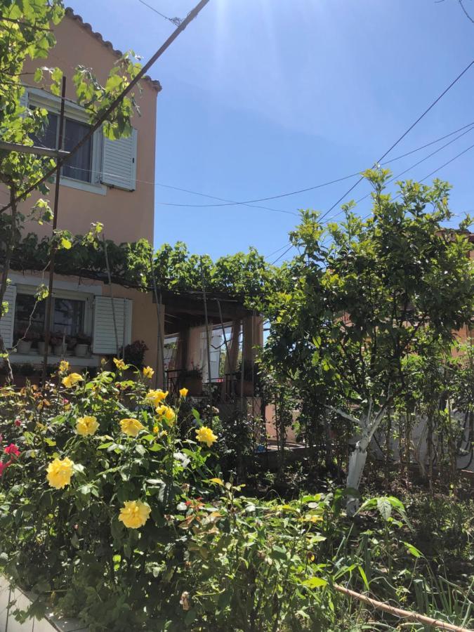 Natasha'S Home ペラマ エクステリア 写真