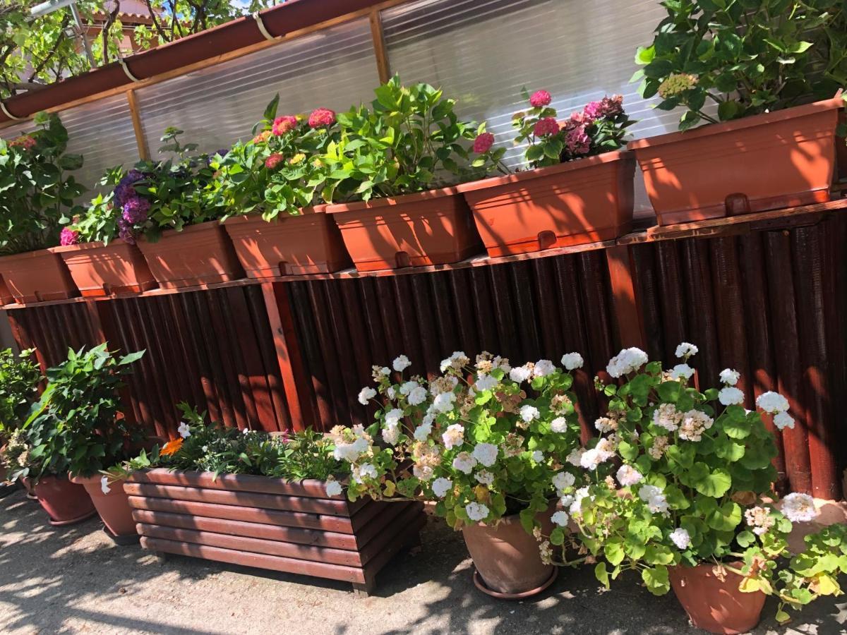 Natasha'S Home ペラマ エクステリア 写真